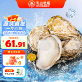 乳山牡蛎【源头直发】鲜活乳山生蚝2XL号 海鲜烧烤食材 净重2.5kg 18-25只