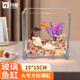 共度（Gong Du）玻璃方形金鱼缸办公桌绿萝水培家用创意小鱼缸小型迷你桌面乌龟缸 大号方形裸缸 15*15CM