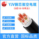 国超电缆 YJV-0.6/1KV-5*16铜芯国标架空户外防老化5芯电力电缆 1米【现货】
