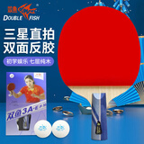 双鱼（DOUBLE FISH）单拍直拍短柄学生全能型训练专用乒乓球拍双面反胶【3A+E 附2球】