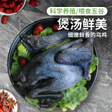 密农人家新鲜乌鸡  杂粮喂养土鸡 农家乌鸡 整鸡鸡肉急冻锁鲜乌骨鸡850g