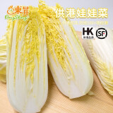 东升供港娃娃菜400g 微型大白菜火锅食材   烧烤炒菜广州新鲜配送