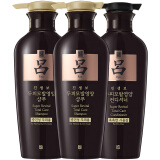 吕（Ryo）黑吕 防脱发养护头皮洗护套装（洗发水400ml*2+护发素400ml）