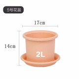爱丽思（IRIS）花瓶彩色Deepot圆形月季铁线莲花盆园艺批发树脂花盆塑料盆 5号皮肤粉【带托