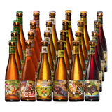 藏式爱尔香格里拉精酿青稞啤酒胖卓玛IPA艾尔松嘎藏式艾尔高度精酿啤酒 全系列 330mL 24瓶 组合装