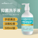 海氏海诺乐一享三 抑菌洗手液 500ml 家用清洁有效抑菌洁净健康呵护双手