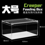 君吻爬宠饲养箱守宫蜘蛛蜥蜴角蛙寄居蟹树蛙乌龟缸蛇雨林缸爬虫缸 大号饲养盒【30*20*15】