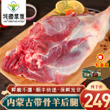 牦藏草原 内蒙古原切羊腿肉草原羔羊冷冻前后腿火锅烧烤食材羊肉年货 生鲜 内蒙古带骨羊后腿7斤（整只）