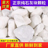 涢灰生石灰块斤鱼塘消毒净化水质改良土壤树木刷白防霉除湿块 石灰块49.8斤