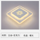 胜森 LED菱形过道灯走廊灯 入户灯门厅进门玄关灯简约现代创意楼道灯 菱形（尖叶花）暖光 暗装开孔5-9厘米