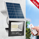 远盛达户外太阳能庭院灯照明灯新农村家用一拖二超亮太阳灯光伏发电路灯 聚光40000-W（一板一灯）照300平 智能遥控+光控丨天黑自动亮