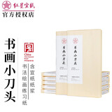红星宣纸书法专用纸四尺小规格书法纸画纸安徽泾县红星牌生宣手工纸国画毛笔书法初学者学生创作练习 一刀装100张 书画纸生宣四尺三开46*69CM