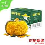绿行者 贝贝南瓜3斤单果300g+板栗南瓜粉糯新鲜蔬菜山东源头直发