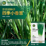 京农研农科院蔬菜种子大叶香菜四季小葱鸡毛菜红苋菜芝麻菜空心菜种籽孑 京农研四季小香葱5克