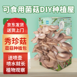 IAM City Farmer秀珍菇 蘑菇种植包 可食用菌棒水培植物生长蘑菇包送喷壶儿童礼物