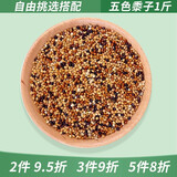 花卷宝宝鹦鹉鸟粮饲料鸟食带壳谷子虎皮牡丹玄凤粮食油菜籽加纳利子小瓜子 五色黍子1斤