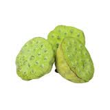 【荷塘月色】鲜莲蓬150g