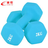 诚悦彩色浸塑哑铃男女家用健身塑型器材组合套装2kg*2宁静蓝色CY-130