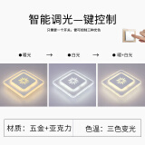 胜森 LED菱形过道灯走廊灯 入户灯门厅进门玄关灯简约现代创意楼道灯 菱形（尖叶花）三色光 暗装开孔5-9厘米