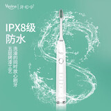 牙司令 Yesline 电动牙刷成人声波震动充电式全自动情侣款IPX8级防水牙龈呵护洁齿净白正畸用 象牙白