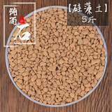 德沃多肥料多肉土颗粒植物土壤种植基质铺面石盆栽养花绿萝兰花通用型营养土 硅藻土5斤