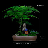 瀚林怡景（HANLINYIJING）文竹盆栽山水盆景植物室内客厅桌面办公室绿植花卉云竹四季常青 文竹-紫砂盆-凉亭