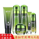 果之秘【官网旗舰】坚果草本植物护肤品套装女士鳄梨果化妆品套装 6件套：面奶水乳霜BB眼霜