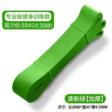 MF弹力带健身抗阻力量训练引体向上助力拉力带弹力绳男士练胸肌练腿 【引体向上推荐】55KG/130磅/绿