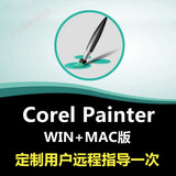 Corel Painter 软件绘画软件远程包安装视频自学教程 Corel Painter2020 远程协助安装