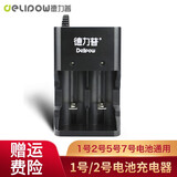 德力普（Delipow）1号2号充电电池充电器 智能快充转灯充电器 可充D型/C型/5号/7号电池 2槽多功能充电器