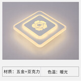 胜森 LED菱形过道灯走廊灯 入户灯门厅进门玄关灯简约现代创意楼道灯 菱形（五朵花）暖光 暗装开孔5-9厘米