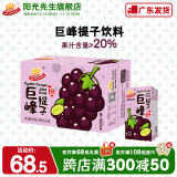 阳光先生（MR.SUNSHINE）饮料 巨峰提子青柠茅根竹蔗桃子果汁饮料 250ml*24盒整箱装团建 巨峰提子250ml*24盒