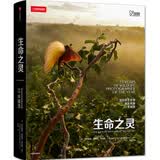 生命之灵：国际野生生物摄影年赛55年精选（自然之美，当摄影遇上自然，用光影绘出生命之灵！中国野生动物摄影训练营指定参考书，大卫·爱登堡、奚志农、袁明辉推荐）