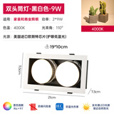 普洛缇（PULUOTI）筒灯led天花嵌入式全光谱客厅卧室四头智能方形双头斗胆灯 全光谱黑白双头-2*9W中性光4000K