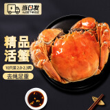【现货】今锦上 六月黄鲜活大闸蟹 10只装2.0-2.3两/只 现货螃蟹礼盒 去绳足重