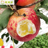 四叔公果蔬四川盐源丑苹果 现货现发红富士冰糖心苹果 整箱当季新鲜水果 5斤 70mm(含)-75mm(不含)