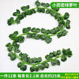 豚鹿仿真葡萄叶藤条植物树叶子管道吊顶装饰花藤假花塑料绿叶缠绕藤蔓 81叶绿萝叶【12条】