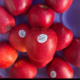 新西兰红玫瑰苹果进口queen苹果脆甜新鲜水果10个大标签随机 10个（单果180-200g）