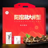 【活蟹】澄湖之心阳澄湖大闸蟹鲜螃蟹公3.3-3.6两母2.3-2.6两5对 正品阳澄湖大闸蟹/足斤足两