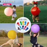 青苇 18寸加大气球12个生日派对装饰布置儿童运动会夏季户外拍照道具