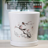 裕轩堂纯白色新款陶瓷花盆室内简约个性带托盘绿萝吊兰蝴蝶兰多肉盆桌面 6009495 中号口径约14厘米