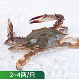 鲜活梭子蟹 称重(150-200g/只) 中秋送礼家宴宴请