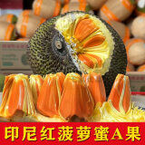七果优品印尼红红肉菠萝蜜新鲜新鲜进口热带水果香脆甜红心小木波罗一整个 红色 12-13斤印尼红【精选红肉】