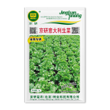 京研叶菜瓜果蔬菜种子特色西瓜生菜种籽农科院精选蔬菜孑大棚家庭园艺 京研意大利生菜1克