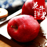 馋半仙甘肃天水花牛粉面苹果 时令沙甜婴儿刮泥老人新鲜水 含箱9.5斤大果（70-75mm）