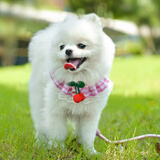 阿莫尔宠物狗狗花边牵引绳胸背带狗绳博美泰迪比熊遛狗绳小型幼犬狗链子 粉色（加绳子） S-小型(3-8斤)