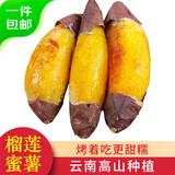 京鲜生精品榴莲蜜薯 4.5斤单果150g+ 红薯地瓜番薯蔬菜粗粮 源头直发