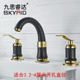 九思睿达（SKYRID） 面盆水龙头三孔欧式金色冷热水精铜主体双把分体式洗脸盆三件套 黑金三件套