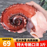 喜鲜德 特大 超大章鱼足 鱿鱼须 无冰净重  解冻即食 熟冻 脆口须 大号 3斤装【7-12只】