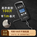 超欧（CHAOOU） 手提秤精准便携式行李秤手提电子秤50KG商用快递秤高精度家用小挂称弹簧秤 黑色手提（带卷尺）